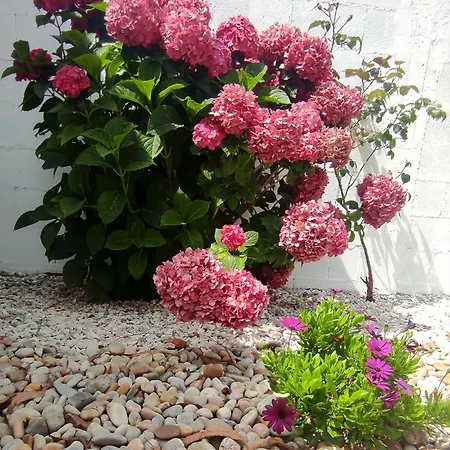 Ortegal & Seacliffs * Cariño