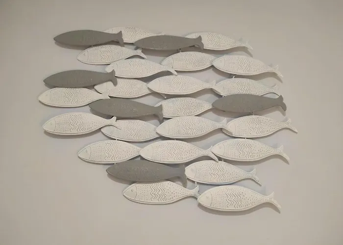 Ortegal & Seacliffs *