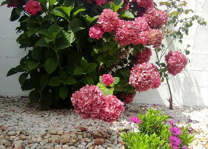 Ortegal & Seacliffs * Cariño